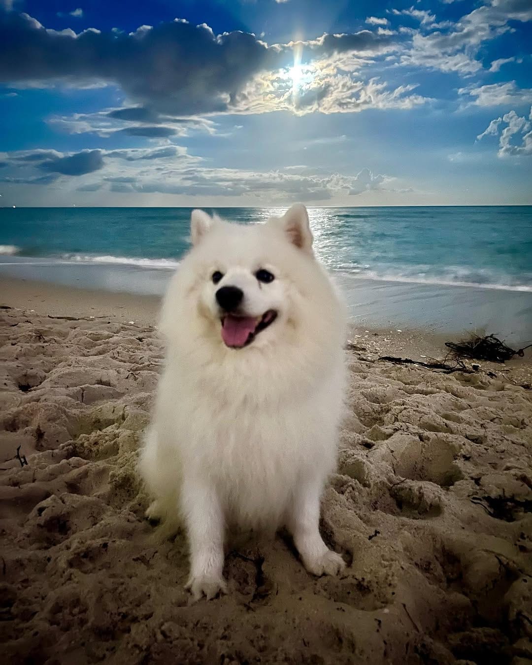 Post 9 by Nikko South Beach on Instagram (carousel)