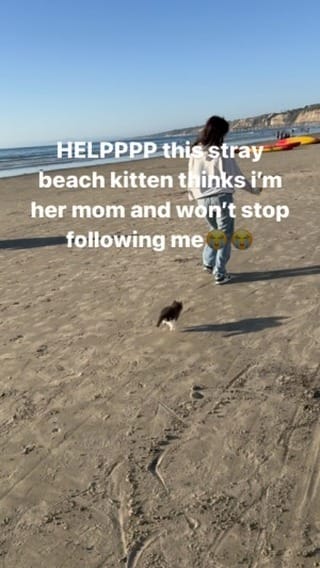 Post 8 by Charlie ⭐️ on Instagram (video)