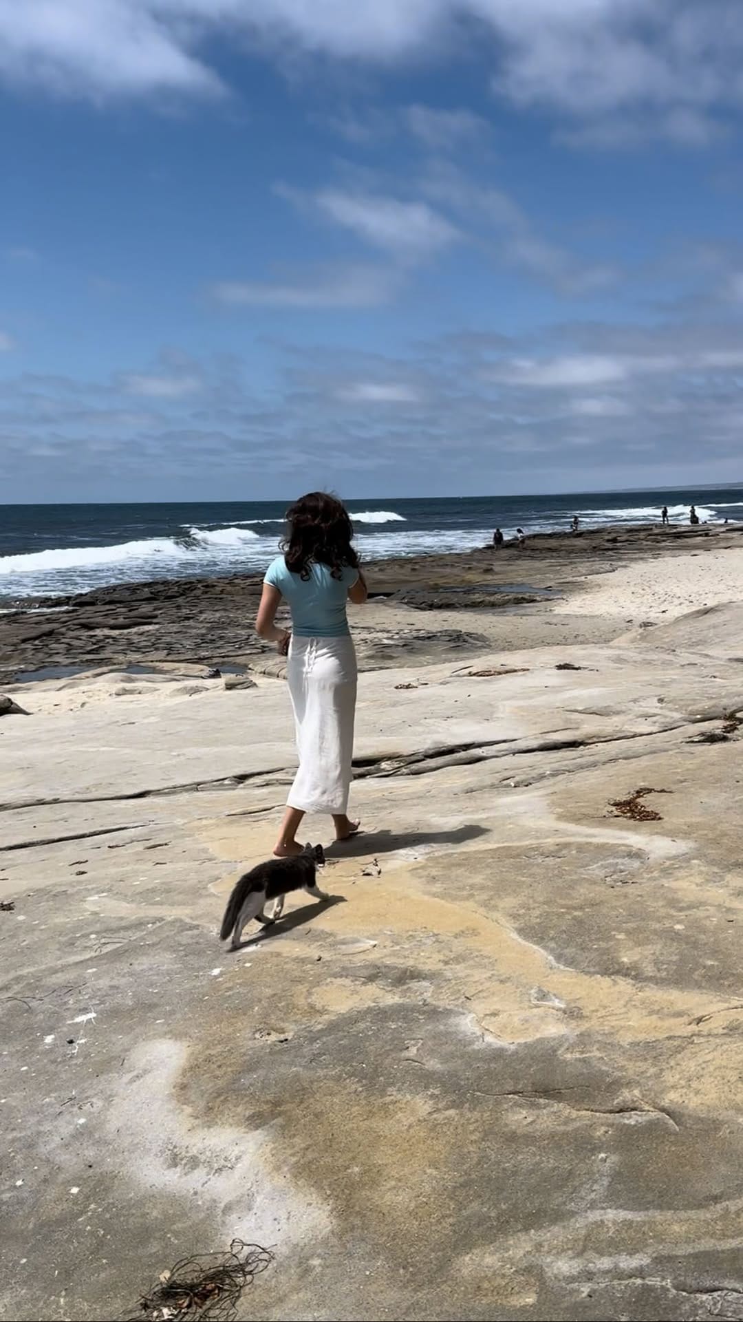 Post 4 by Charlie ⭐️ on Instagram (video)