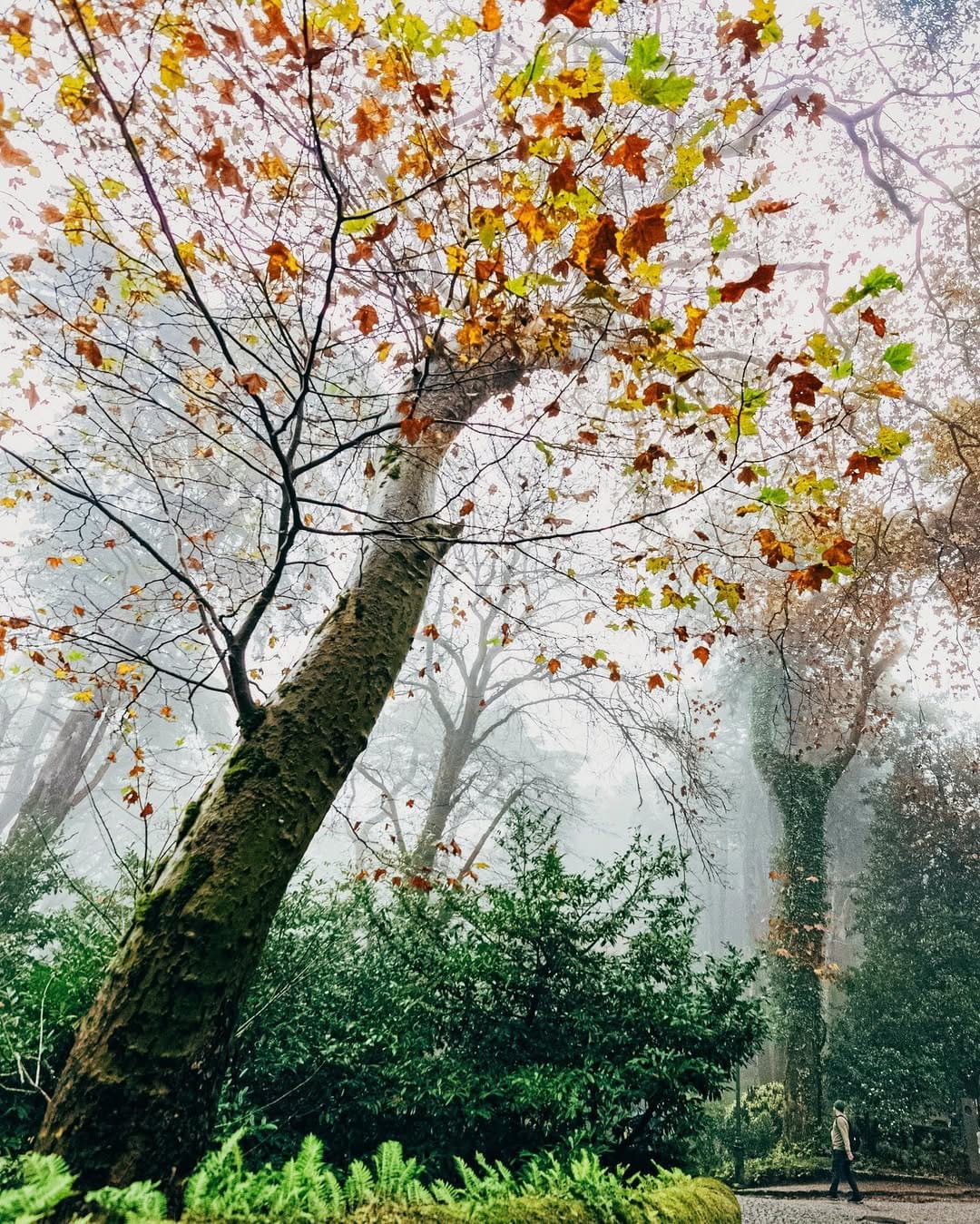 Post 10 by H a N a 💭 on Instagram (image)