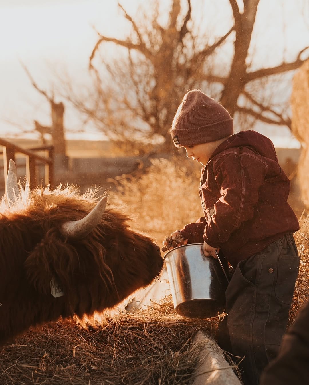 Post 4 by Lifestyle Photography | Melody Turner on Instagram (carousel)