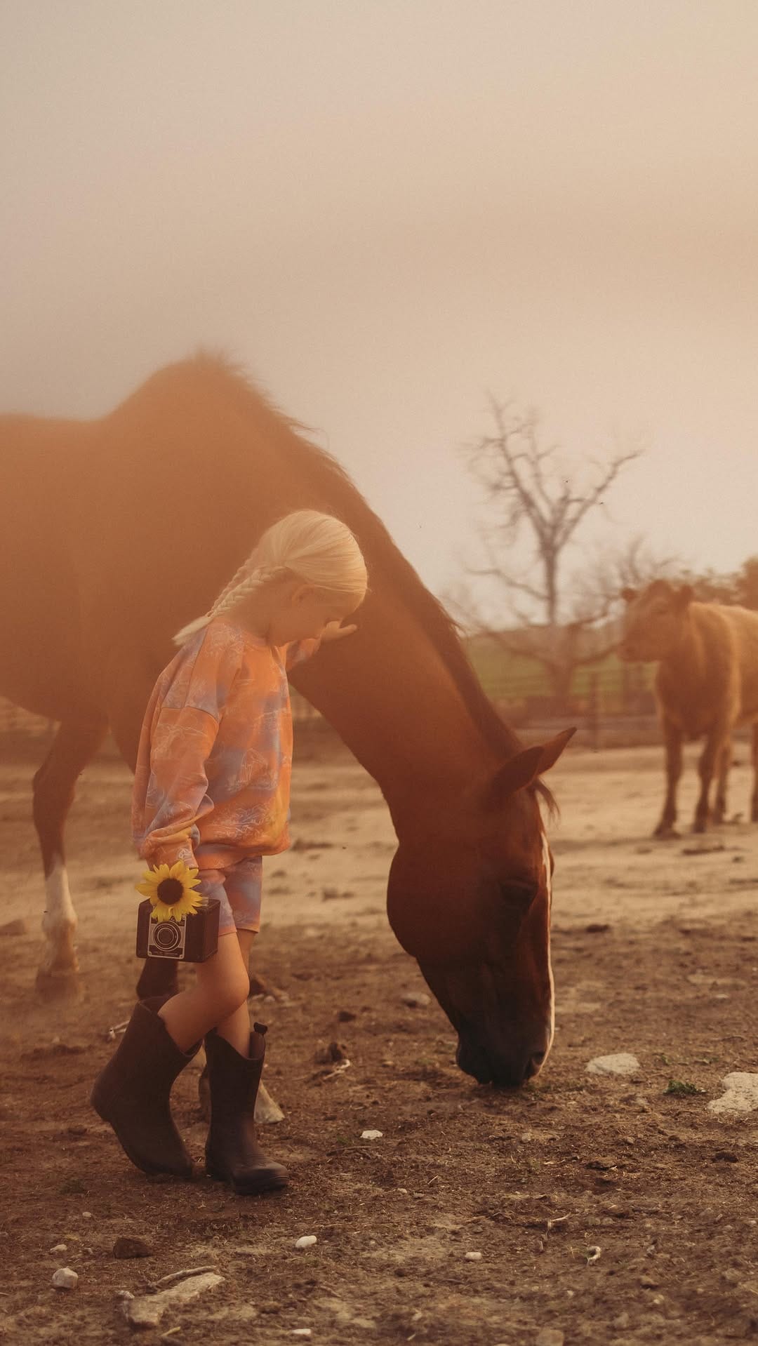 Post 7 by Lifestyle Photography | Melody Turner on Instagram (video)