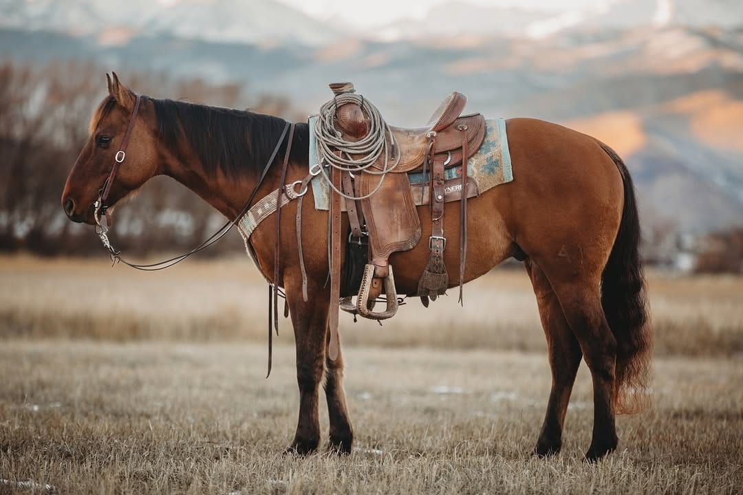 Post 1 by Mattie Mae | Western Photographer on Instagram (carousel)