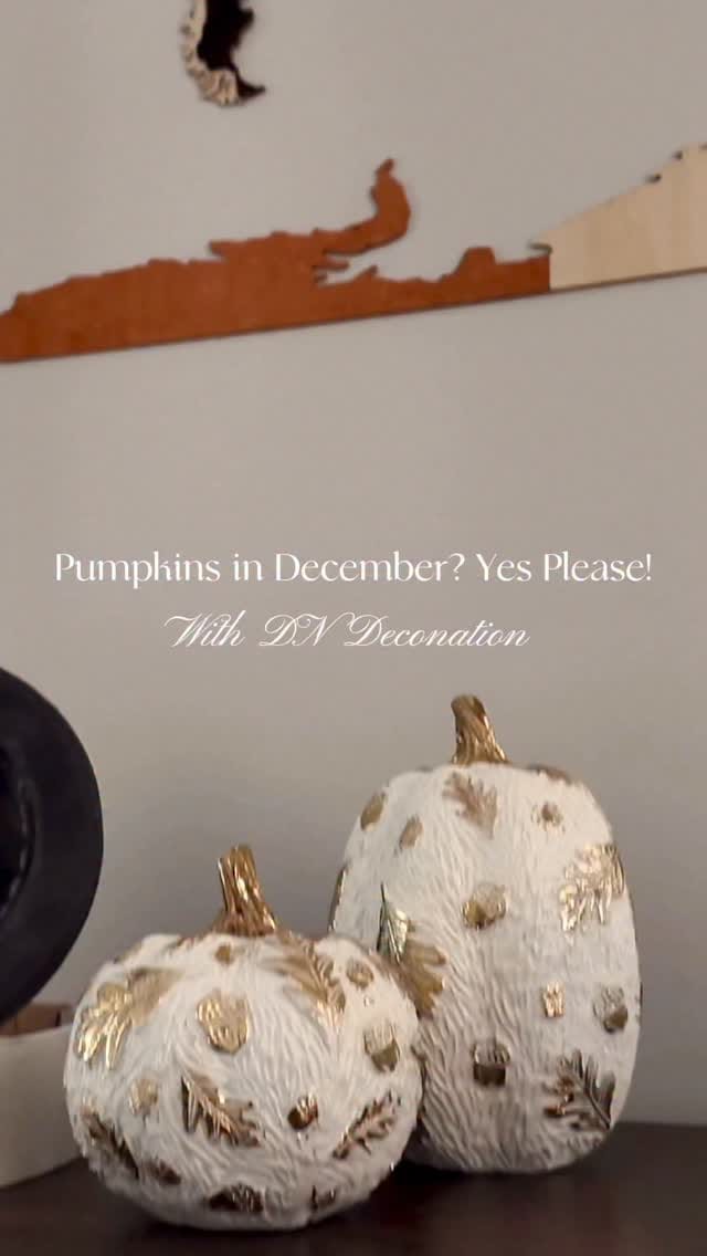 Post 8 by Trupti Dhamija on Instagram (video)