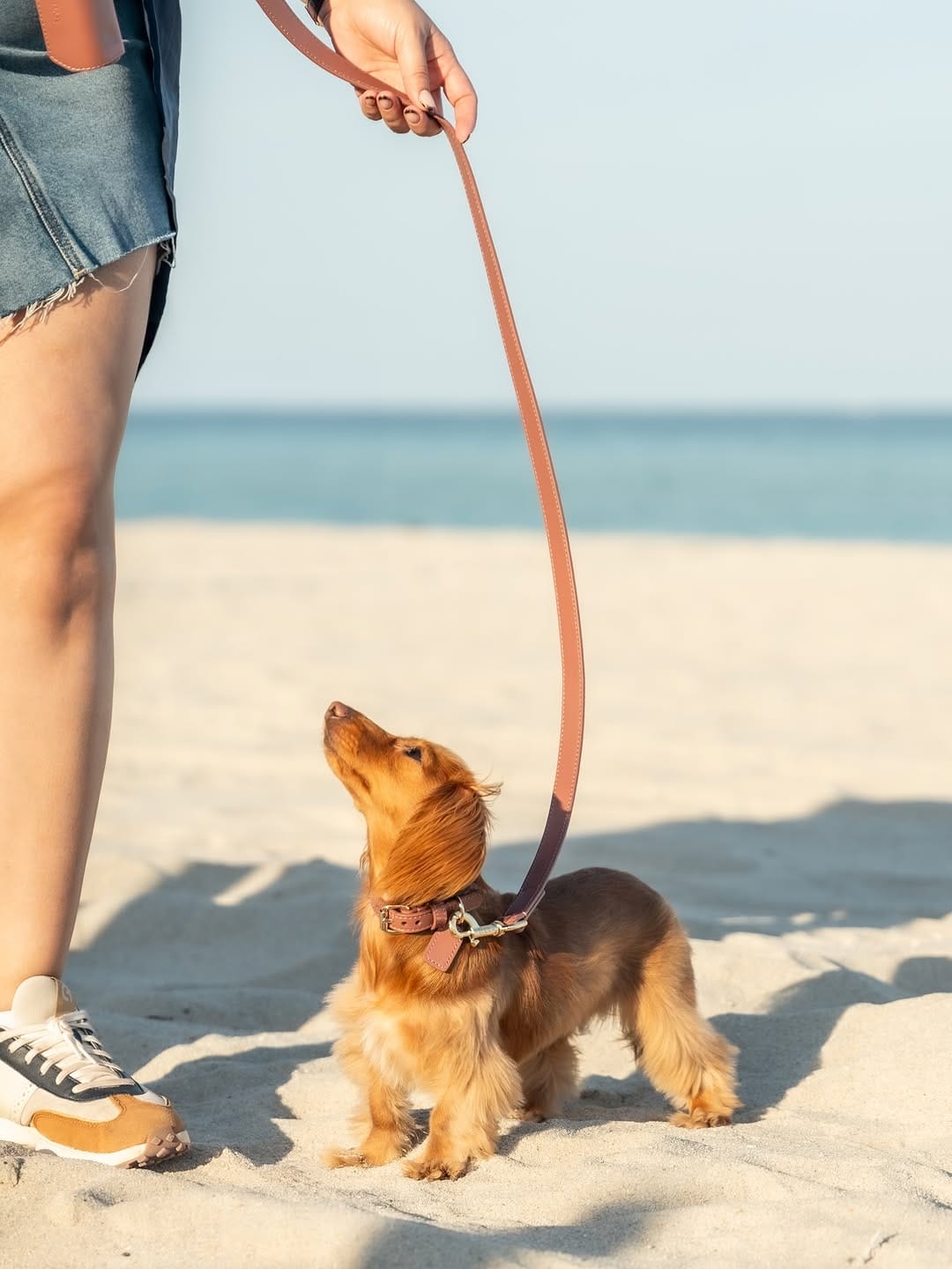 Post 9 by CHELSEA & BROOKLYN🌸 Mini Dachshund on Instagram (carousel)