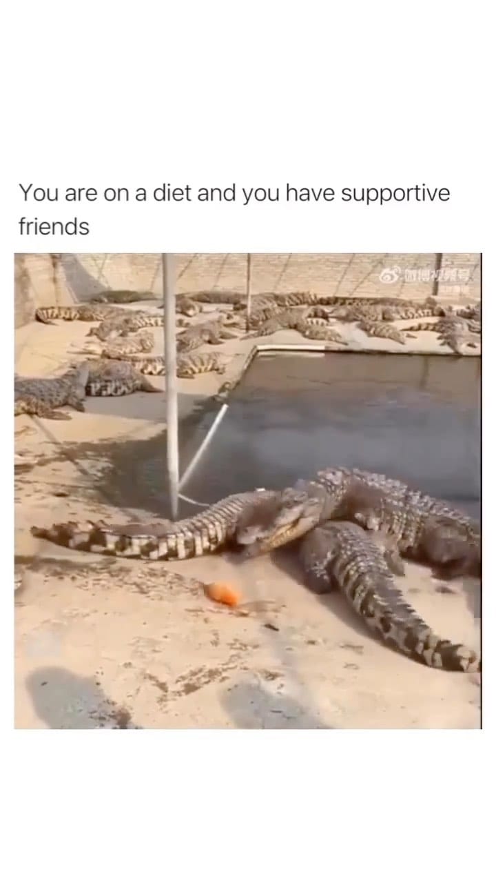 Post 10 by ART on Instagram (video)