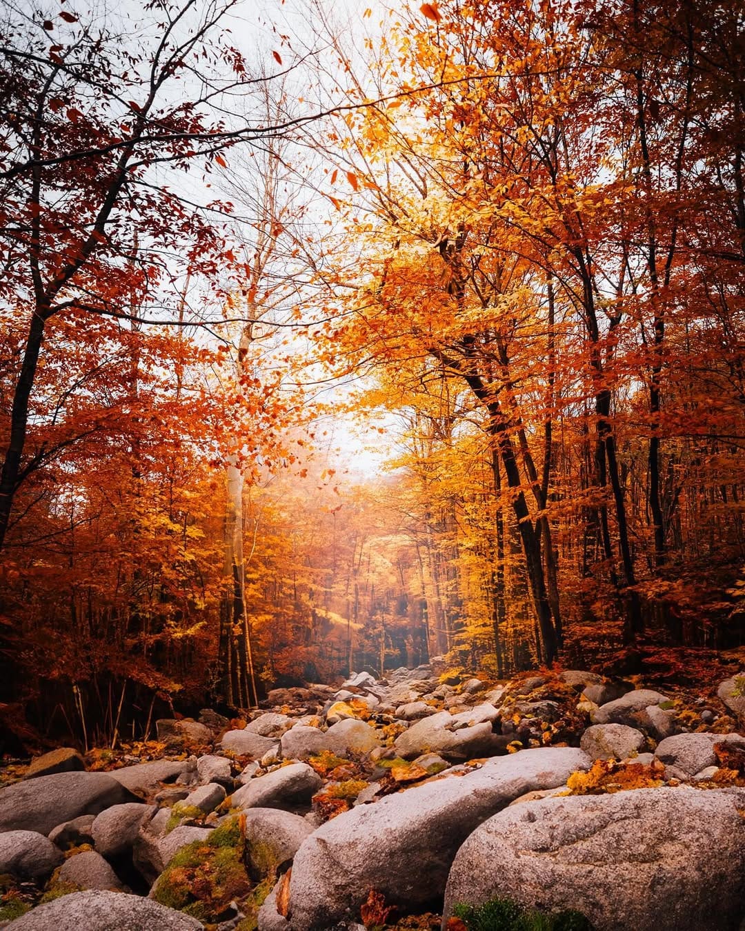 Post 2 by Jake | Chi Photographer on Instagram (image)