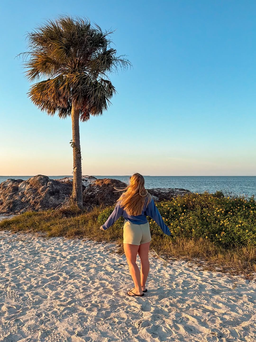 Post 5 by Amanda Conkel | Tampa Bay on Instagram (carousel)