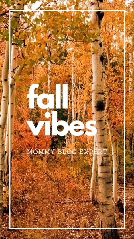 Post 9 by Janis Brett Elspas on Instagram (video)