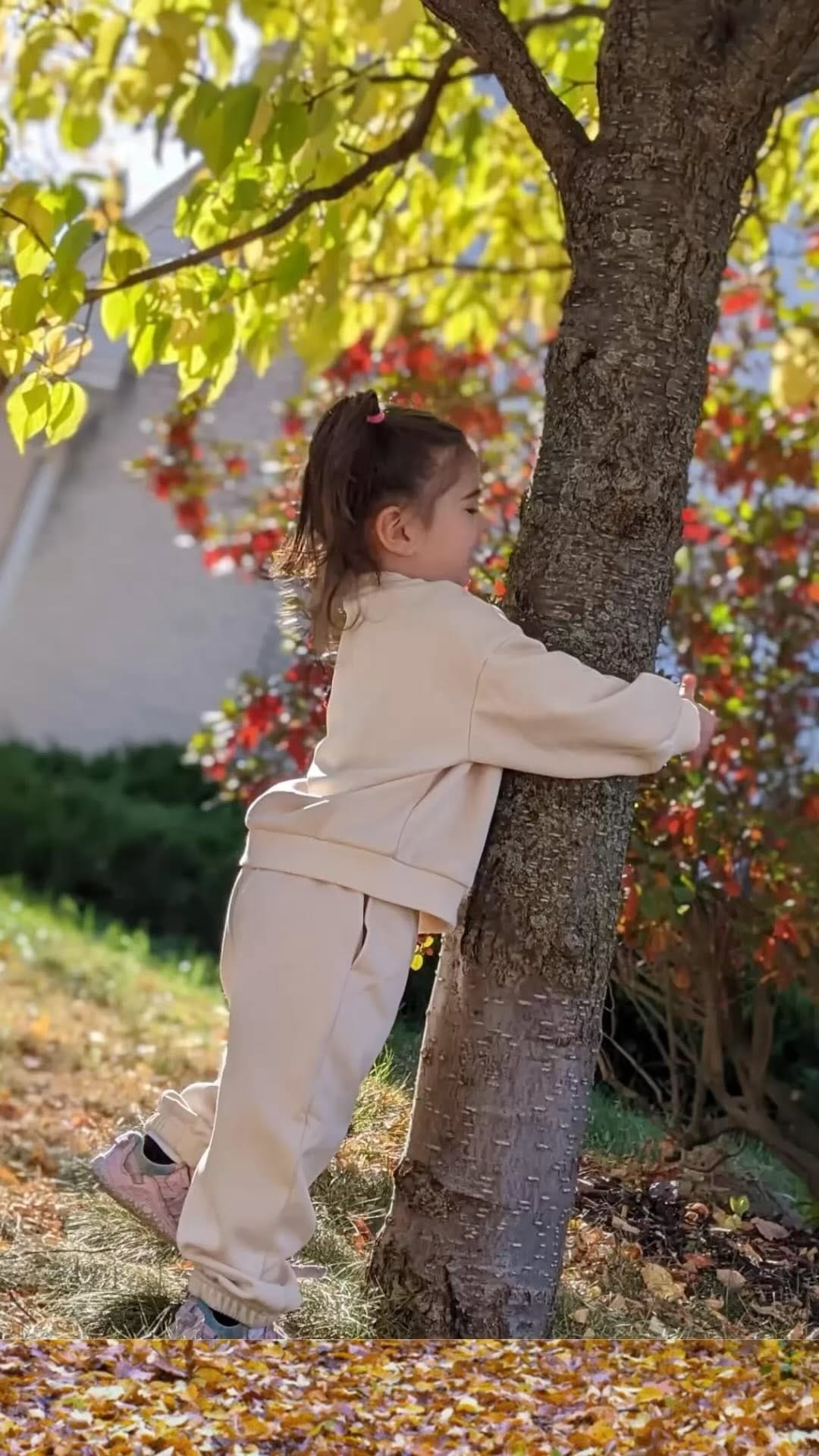 Post 6 by Janis Brett Elspas on Instagram (video)