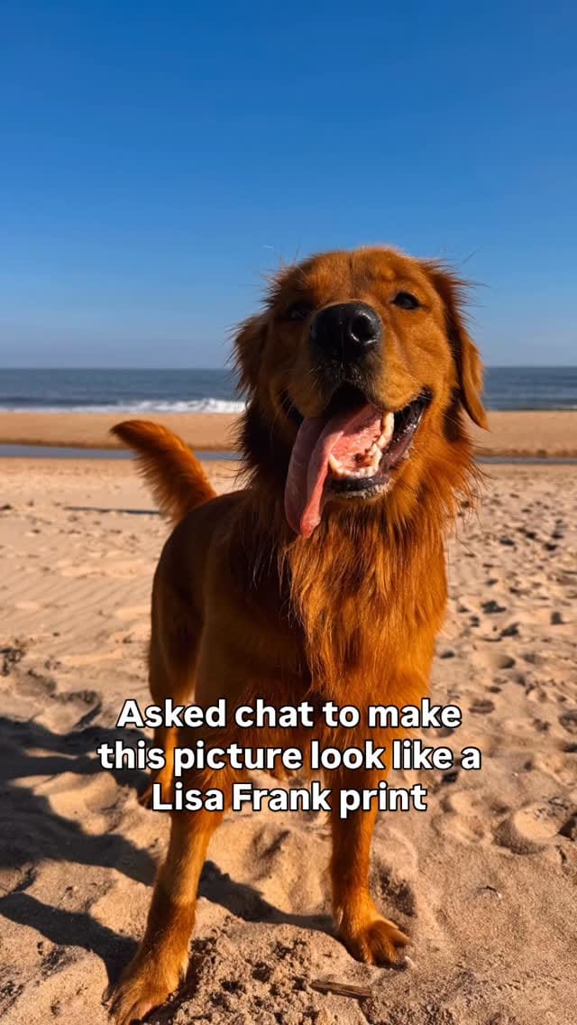 Post 5 by MARVIN & MEG | remembering Benny🪽+ boy & dog mama lifestyle on Instagram (video)