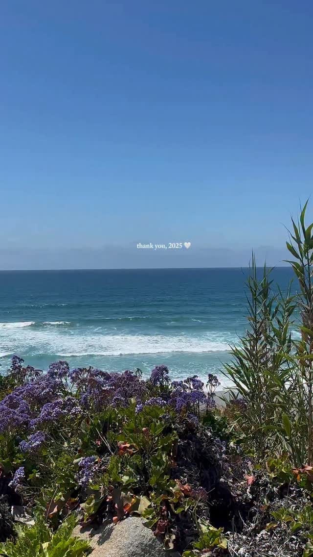 Post 3 by amelia schmarzo on Instagram (video)