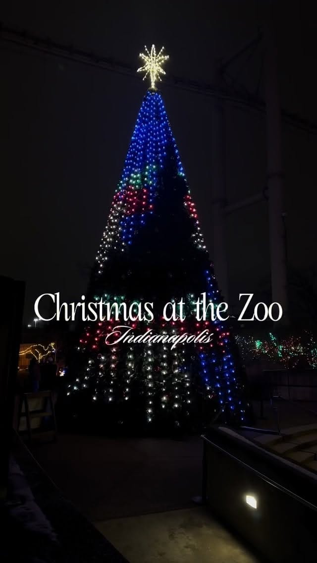 Post 3 by Taylor Cole - Indianapolis Content Creator on Instagram (video)