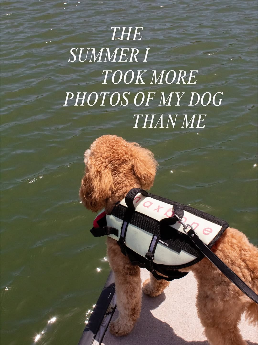 Post 3 by Emma + Eugenio + Mar | fur babies + dogmom on Instagram (carousel)