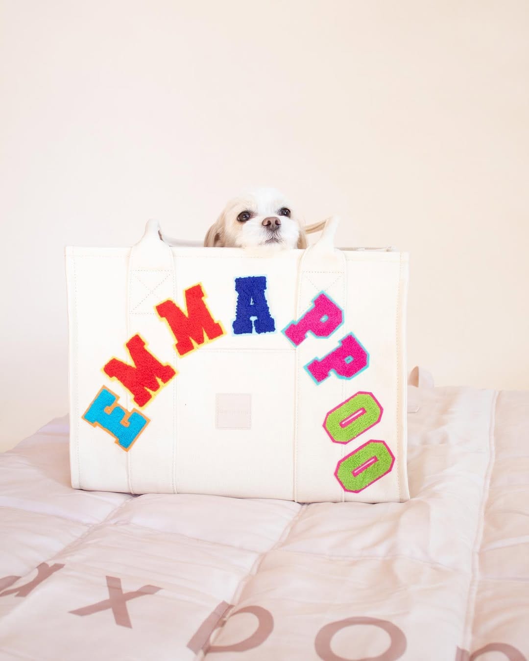 Post 10 by Emma + Eugenio + Mar | fur babies + dogmom on Instagram (carousel)