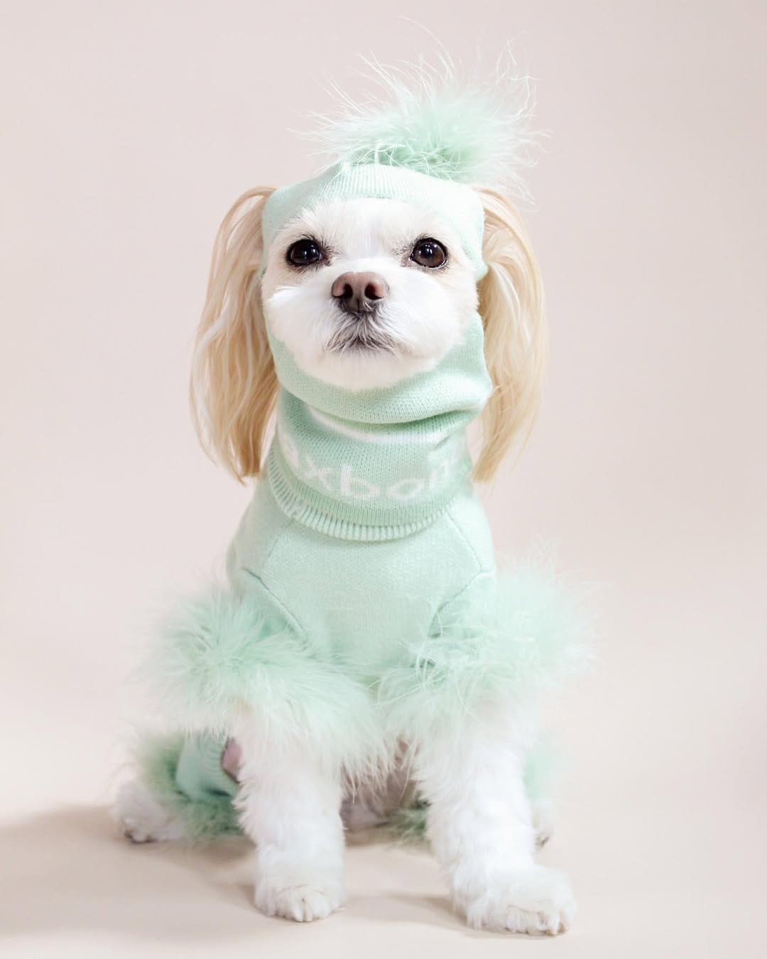Post 9 by Emma + Eugenio + Mar | fur babies + dogmom on Instagram (carousel)