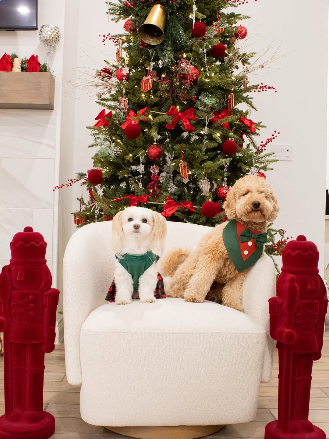 Post 1 by Emma + Eugenio + Mar | fur babies + dogmom on Instagram (carousel)