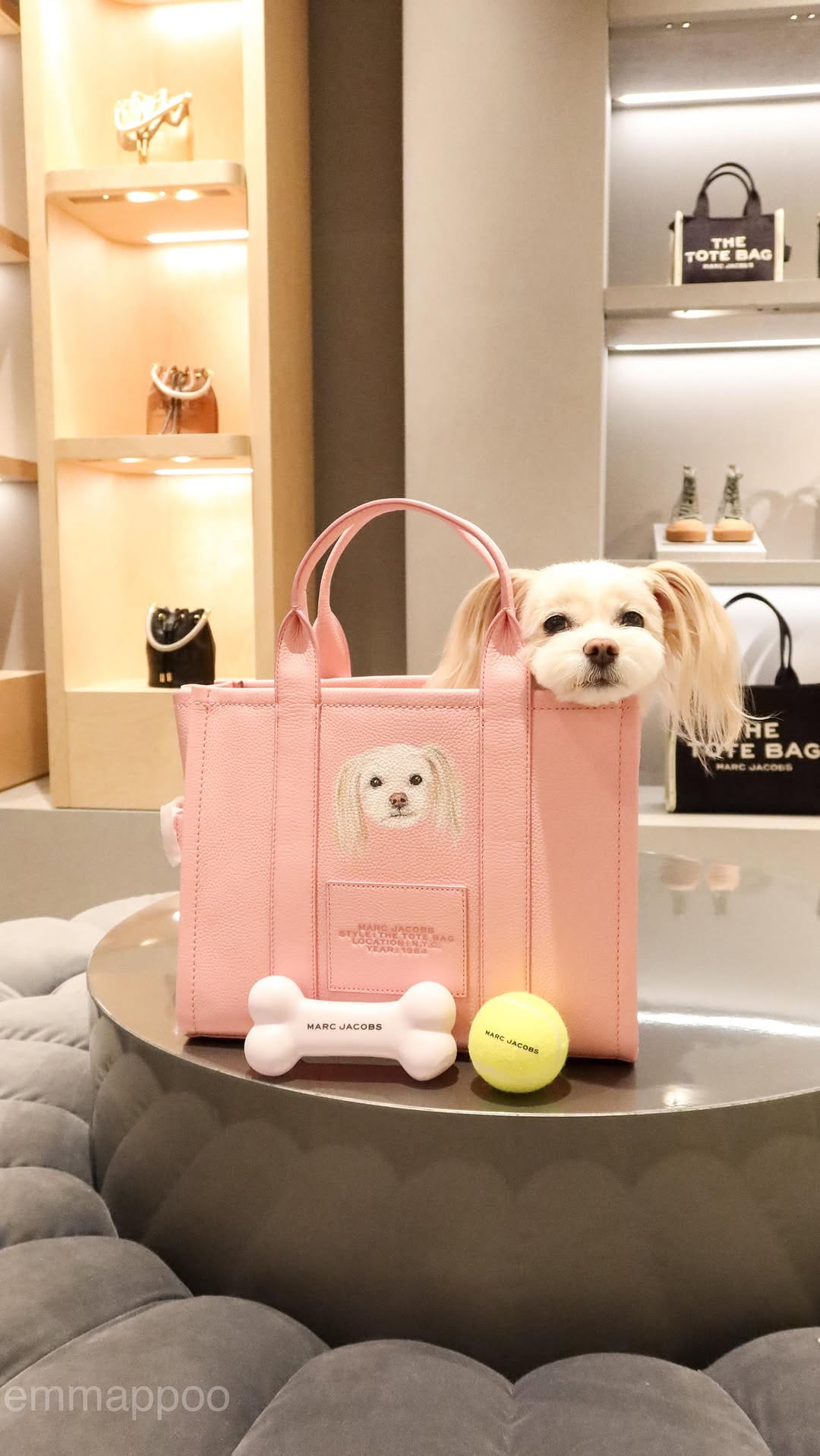 Post 6 by Emma + Eugenio + Mar | fur babies + dogmom on Instagram (video)