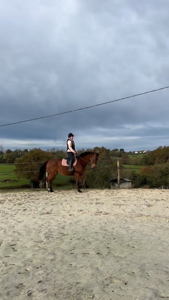 Post 7 by Domaine D’Otop on Instagram (video)