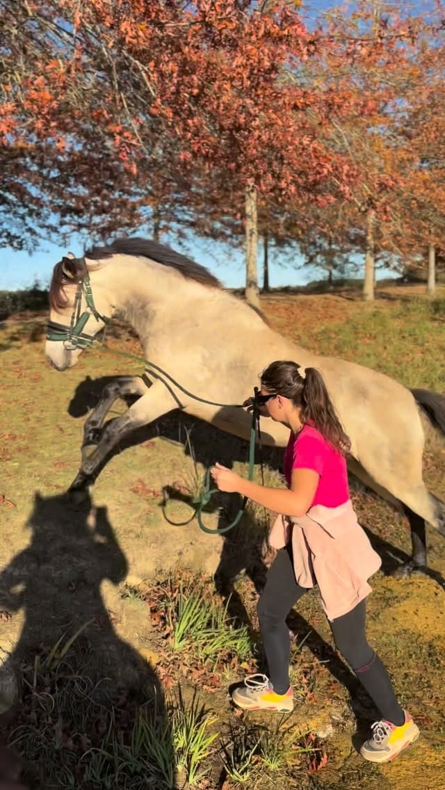Post 9 by Domaine D’Otop on Instagram (video)