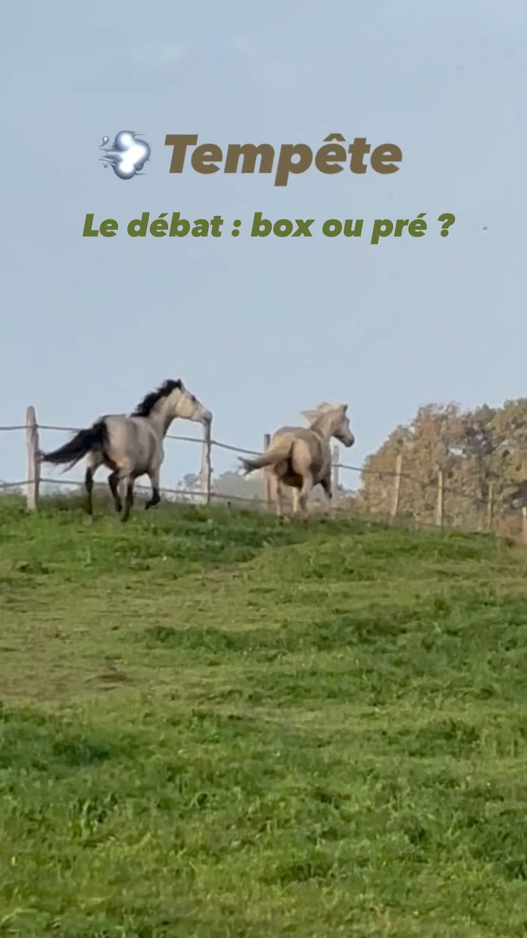 Post 10 by Domaine D’Otop on Instagram (video)