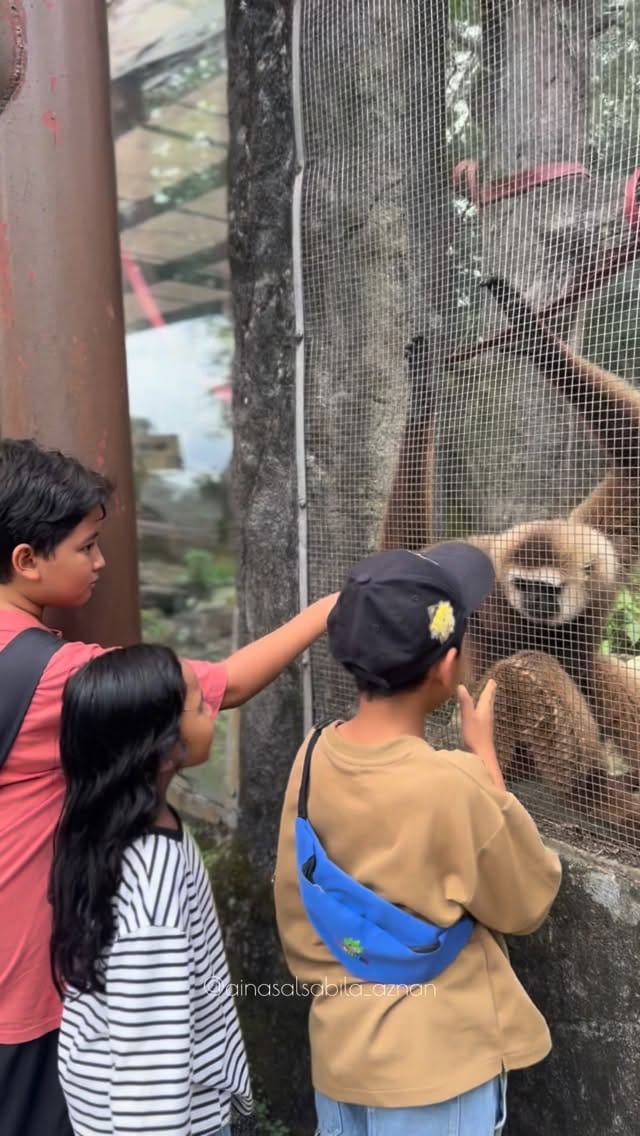 Post 7 by Aina Salsabila Aznan 🇲🇾🇵🇸 on Instagram (video)