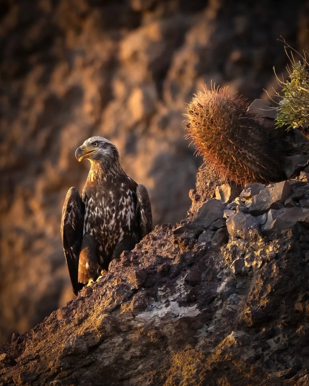 Post 8 by Greg Conn / Photographer on Instagram (image)