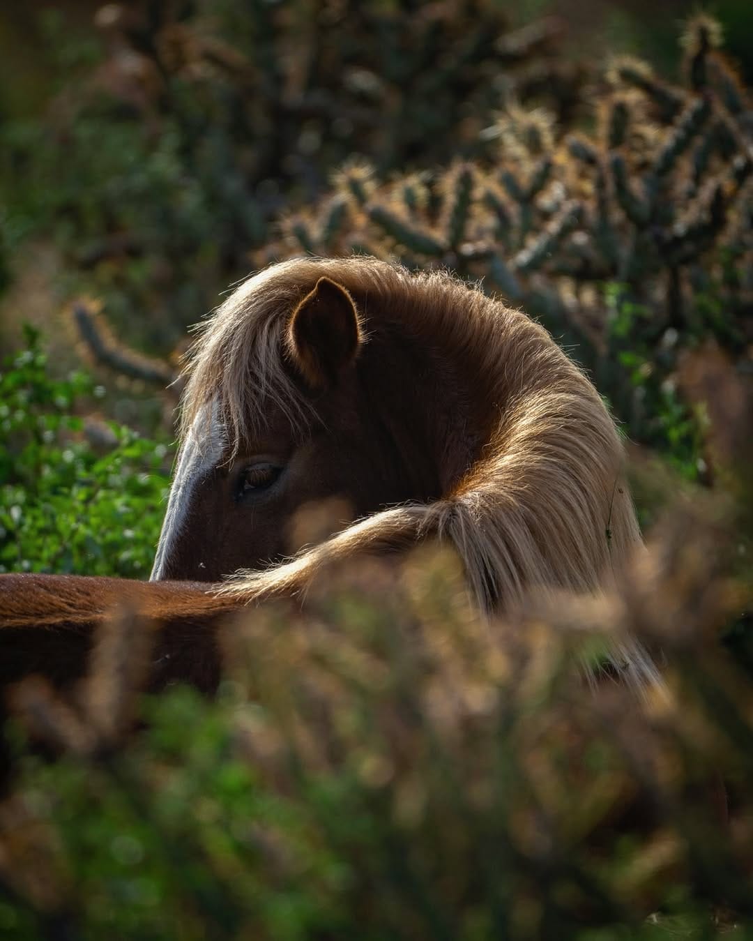Post 6 by Greg Conn / Photographer on Instagram (carousel)