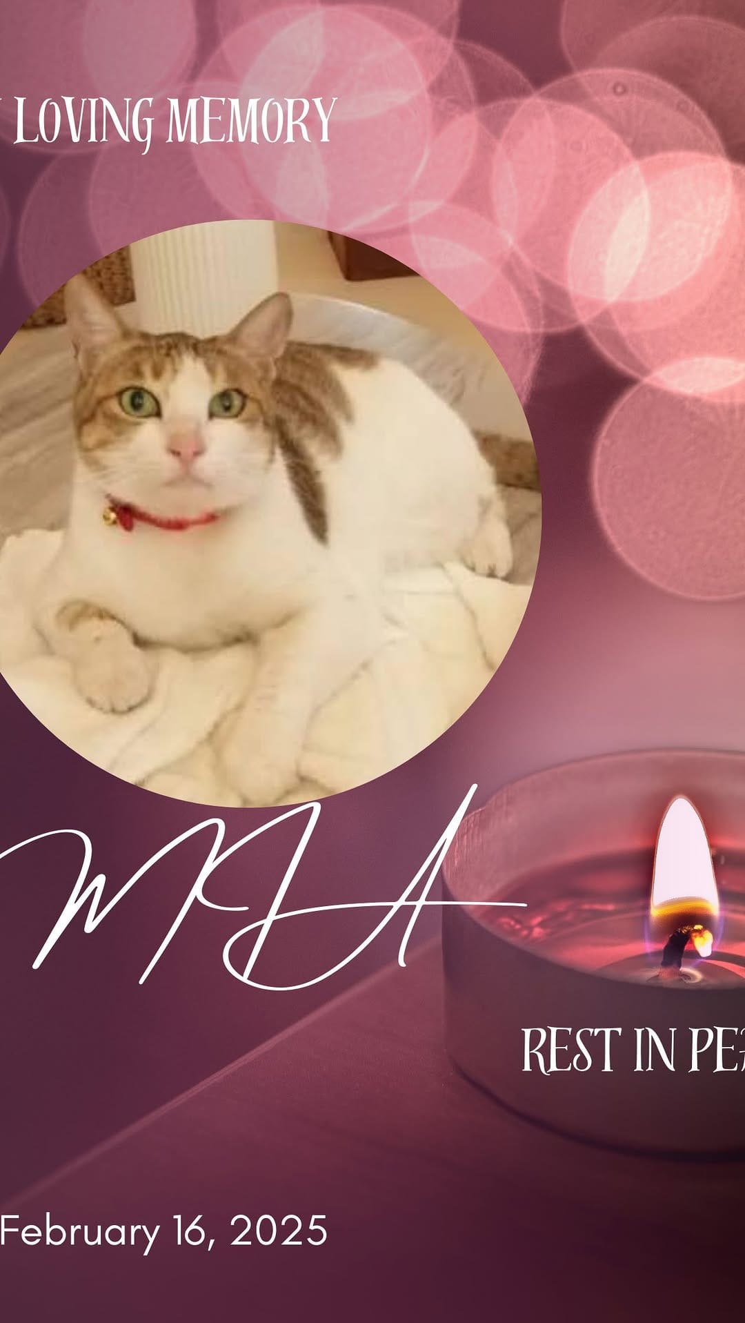 Post 2 by Beverly Gresser 👑 on Instagram (video)
