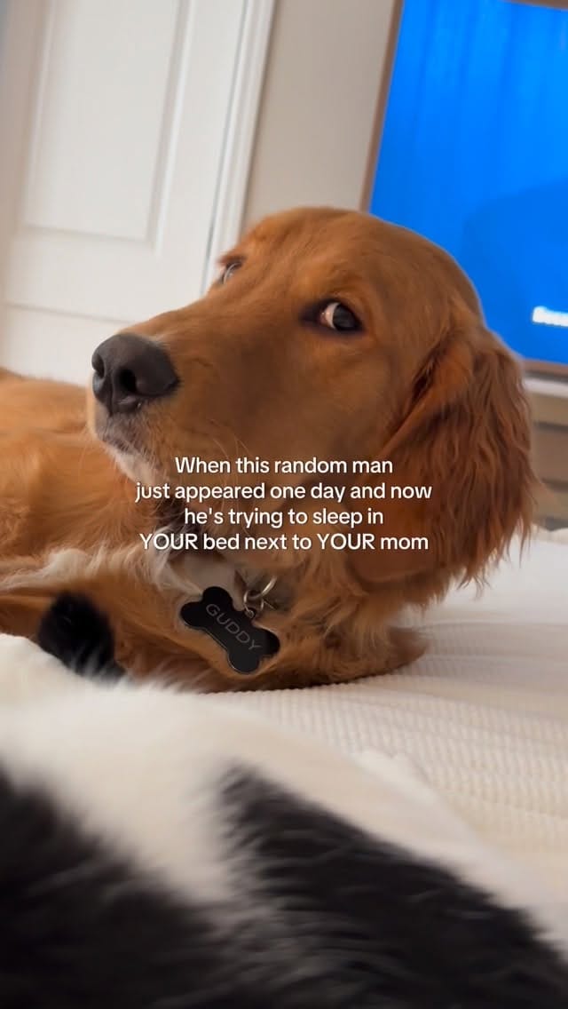 Post 8 by Karleigh Gaudreau on Instagram (video)
