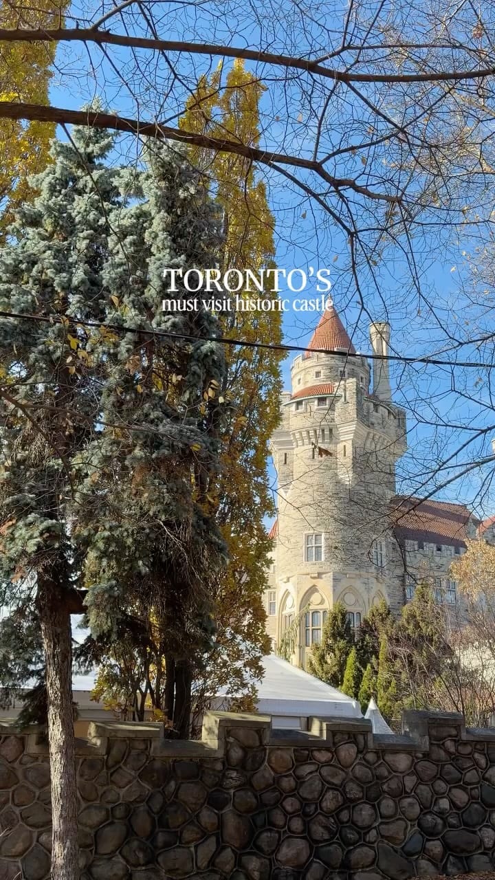 Post 4 by Anne Avilez on Instagram (video)