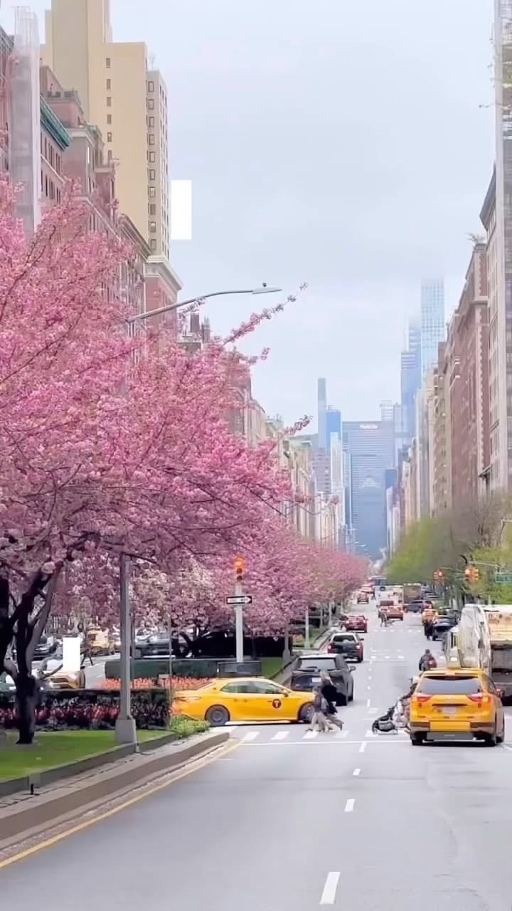 Post 10 by Fatima Sadulaeva on Instagram (video)