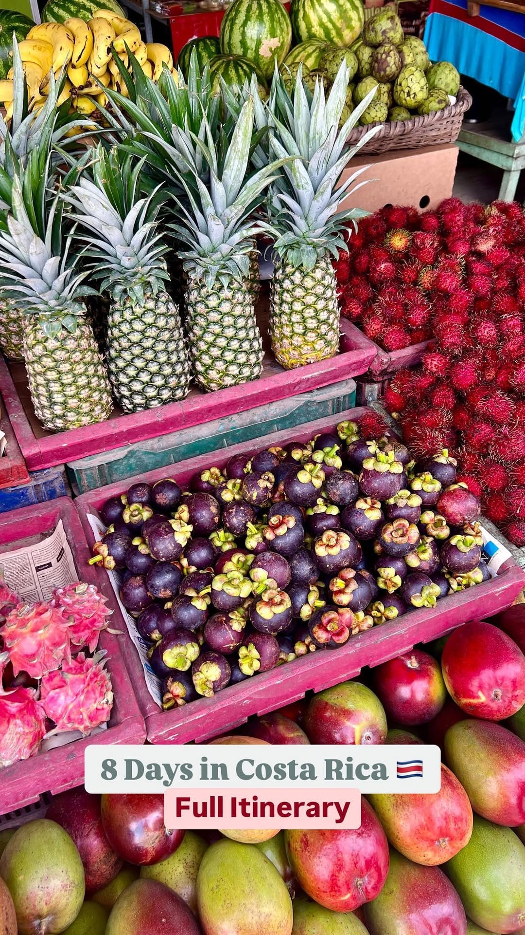 Post 9 by Alexia | Miami Creator | Beauty, Lifestyle & Travel on Instagram (video)