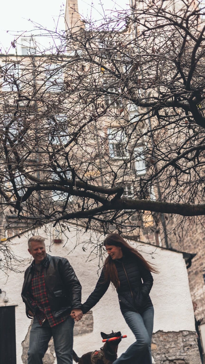 Post 3 by Alison M Cameron | Life, Styled & Savored on Instagram (video)