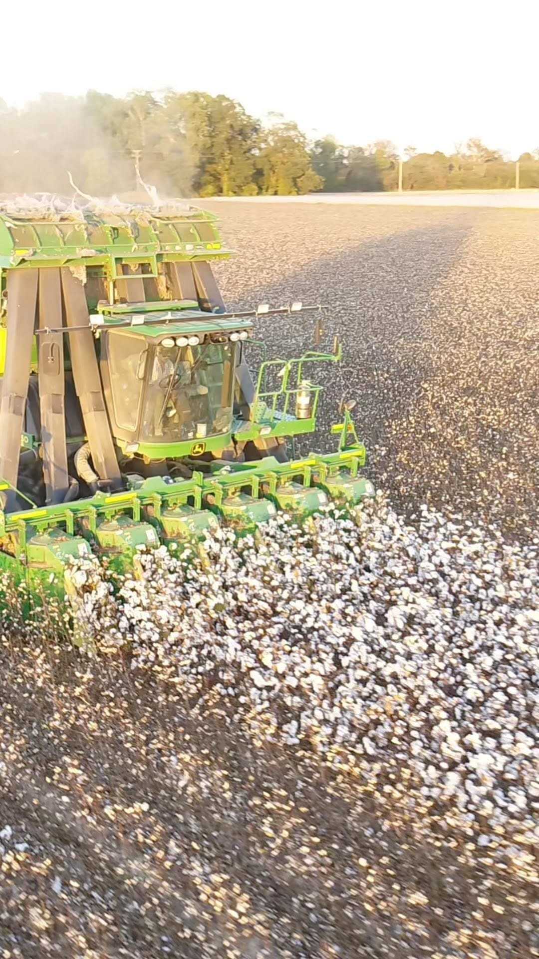 Post 10 by Riggs Ware on Instagram (video)