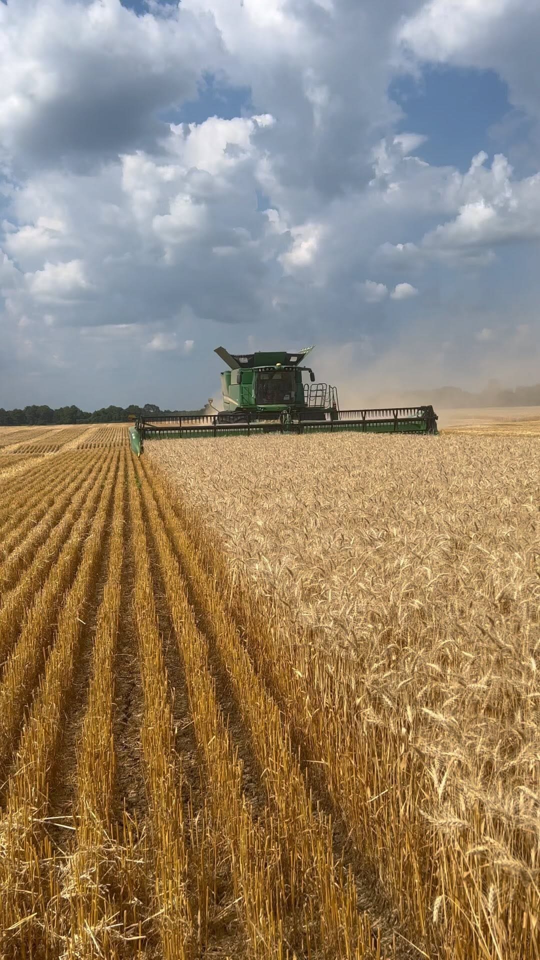 Post 8 by Riggs Ware on Instagram (video)