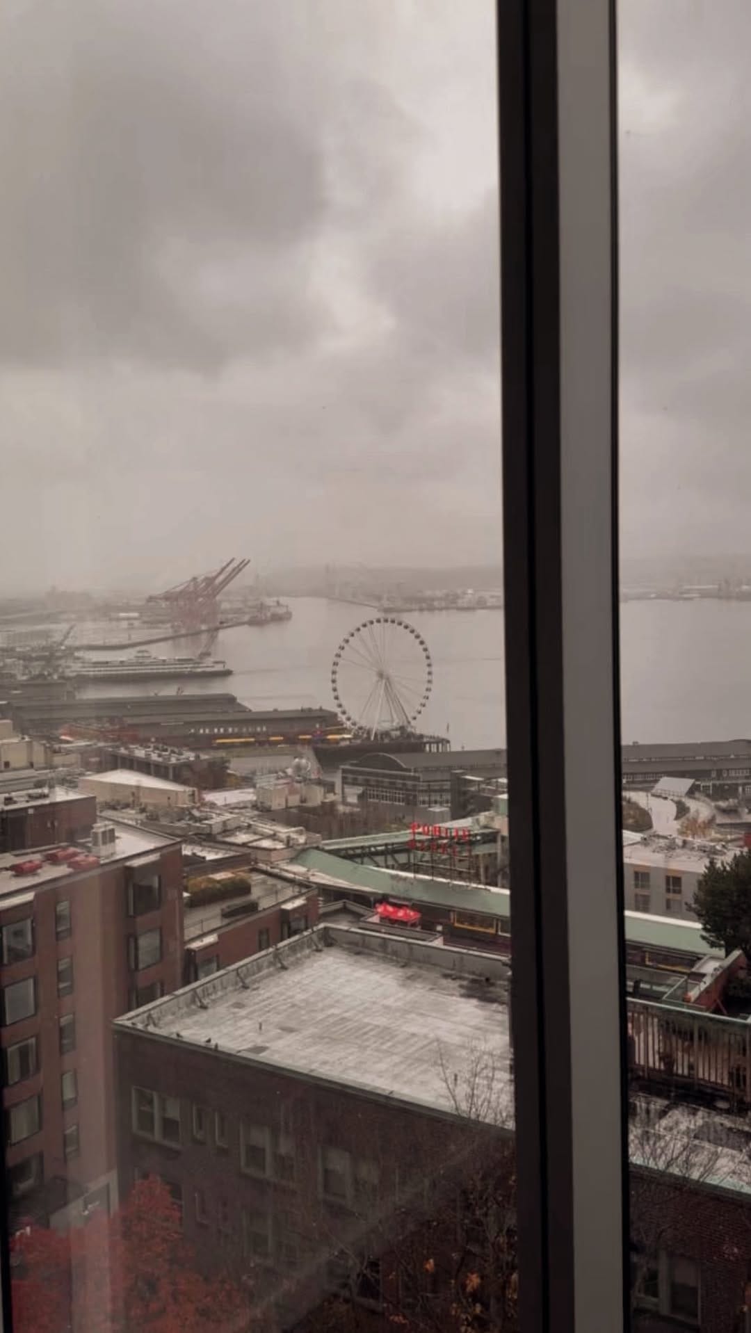 Post 6 by Savy López | Seattle Influencer on Instagram (video)