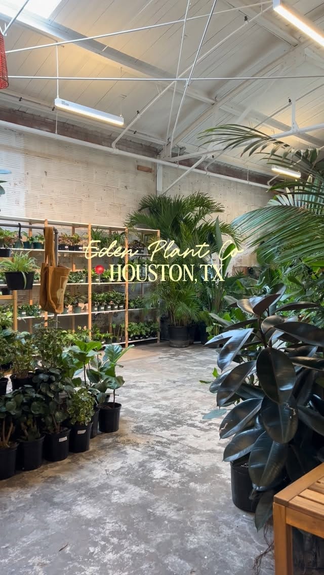 Post 1 by VICHEKA | Houston lifestyle • food • fashion on Instagram (video)