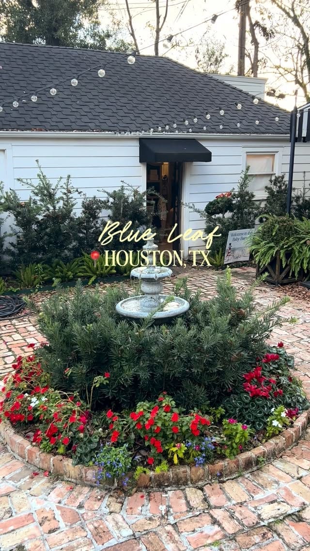 Post 5 by VICHEKA | Houston lifestyle • food • fashion on Instagram (video)