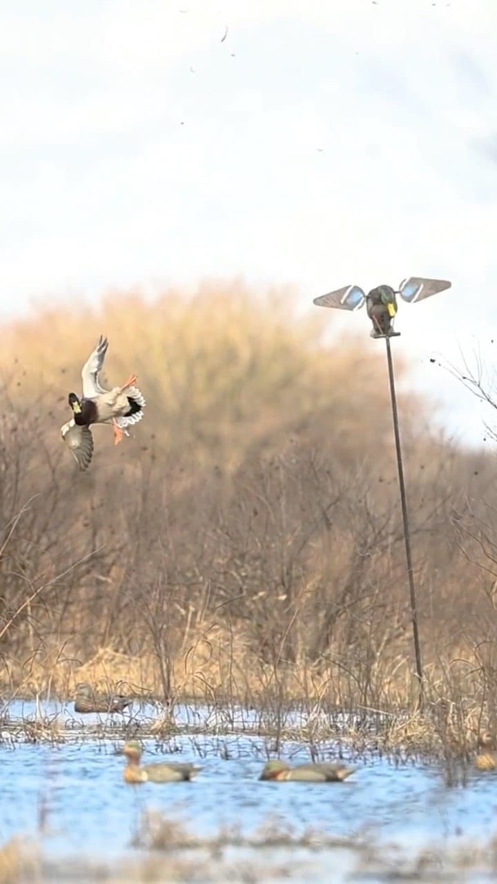 Post 10 by Wade Shoemaker on Instagram (video)