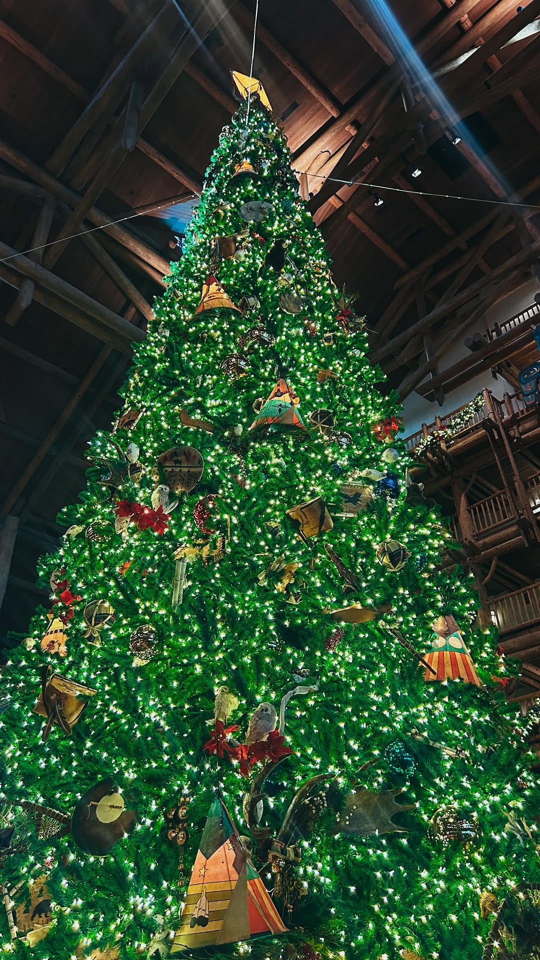Post 7 by Grace & Jacob | Disney Ft. Wilderness Cabin + FL Travel on Instagram (video)