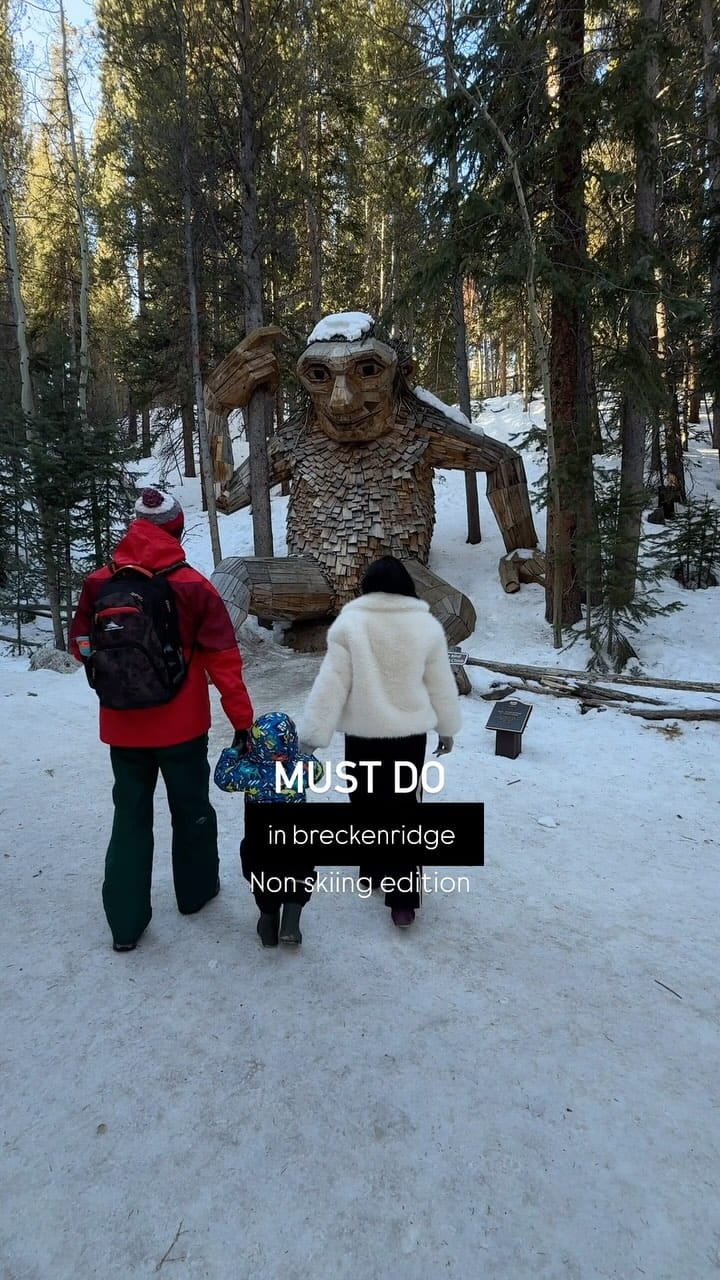 Post 10 by Purvasha on Instagram (video)