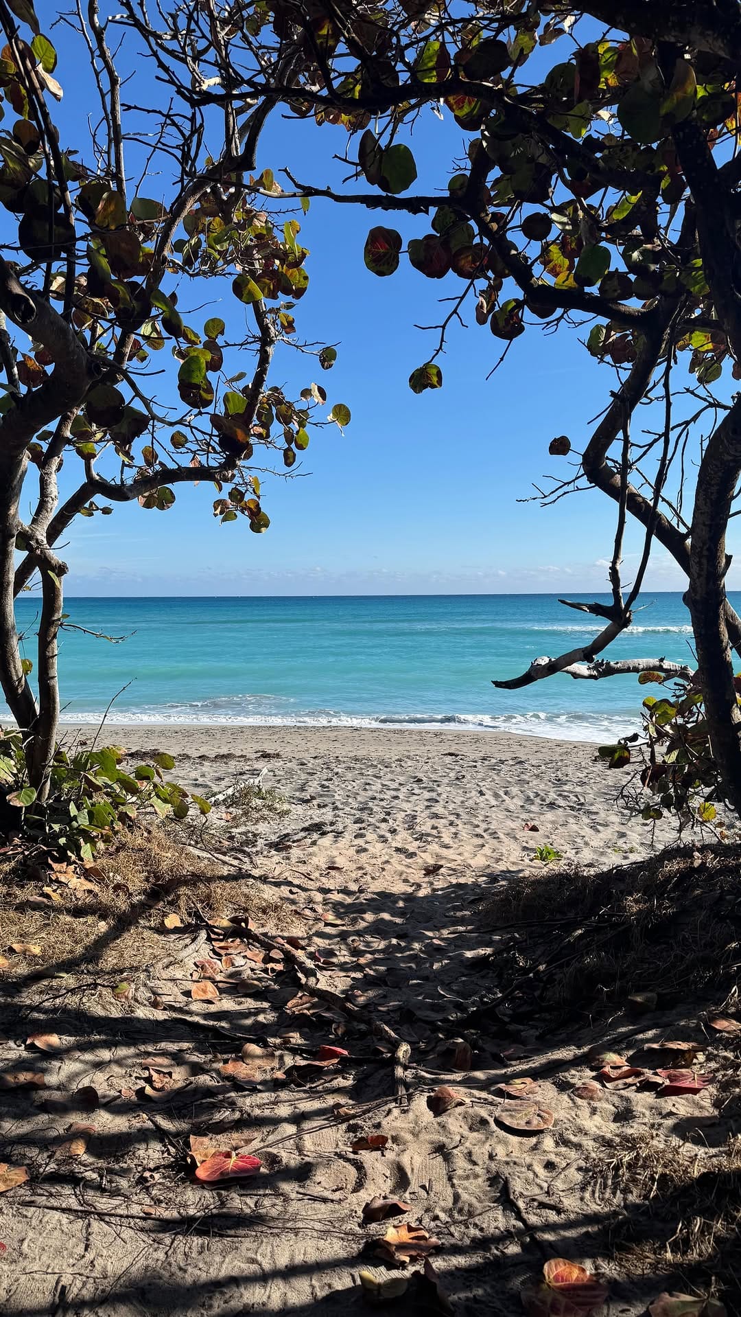 Post 5 by Rebecca Murillo on Instagram (video)