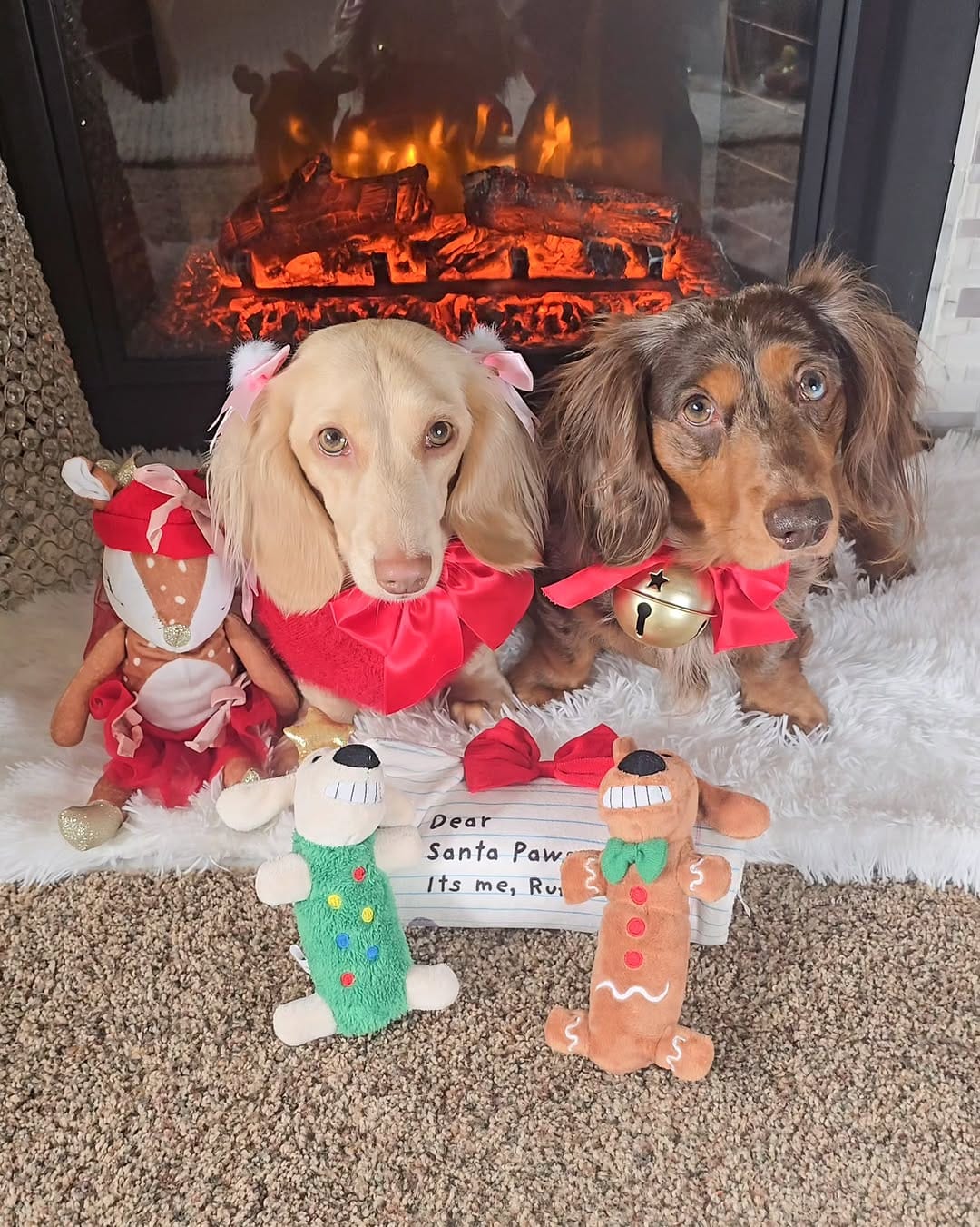 Post 4 by 🧇🅦🅐🅕🅕🅛🅔🅢 🅃🄷🄴 🄷🄾🅃 🄳🄾🄶🌭Dachshund on Instagram (carousel)
