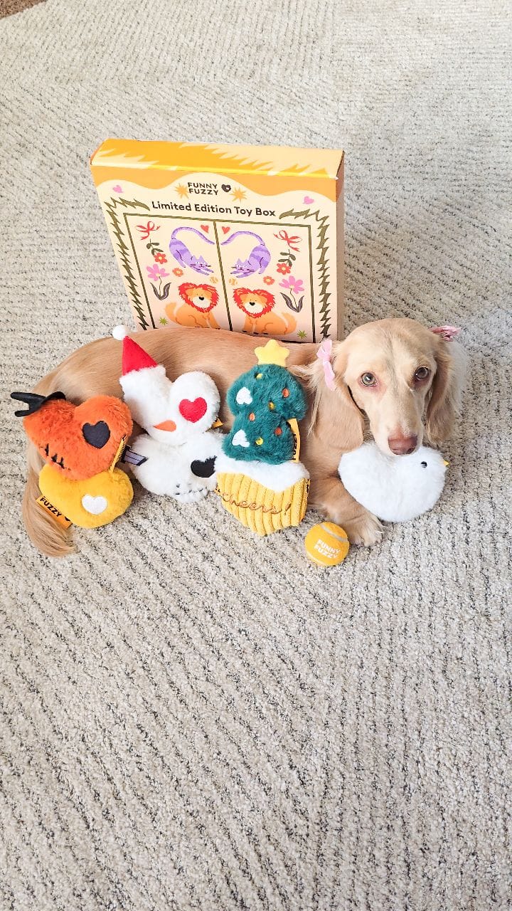 Post 9 by 🧇🅦🅐🅕🅕🅛🅔🅢 🅃🄷🄴 🄷🄾🅃 🄳🄾🄶🌭Dachshund on Instagram (video)