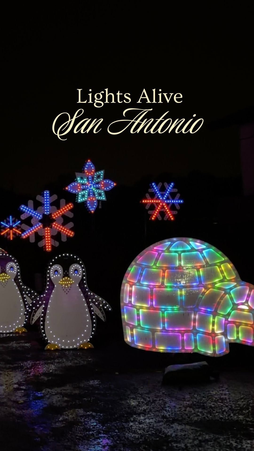 Post 5 by Tamara J. on Instagram (video)