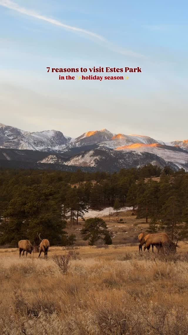 Post 3 by Chloe | Work from Denver on Instagram (video)