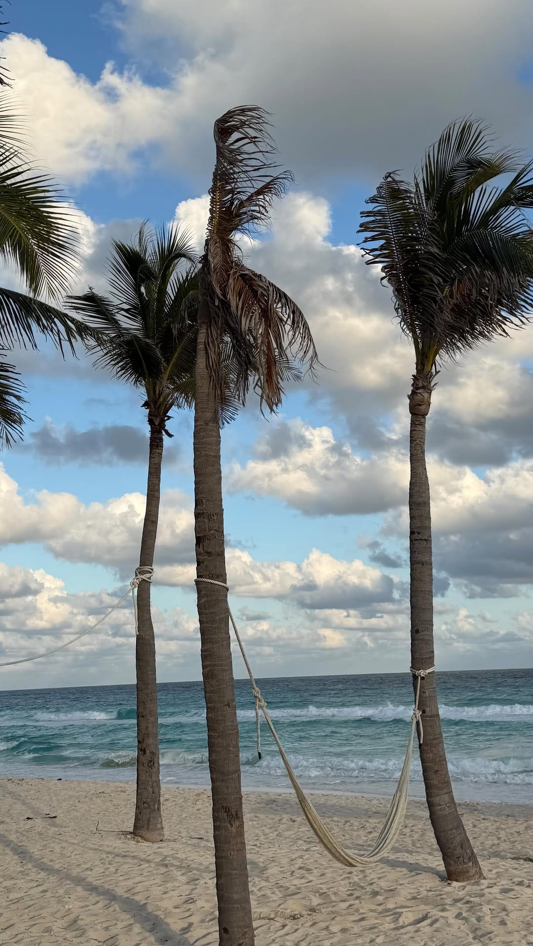 Post 2 by andrea yamhure on Instagram (video)
