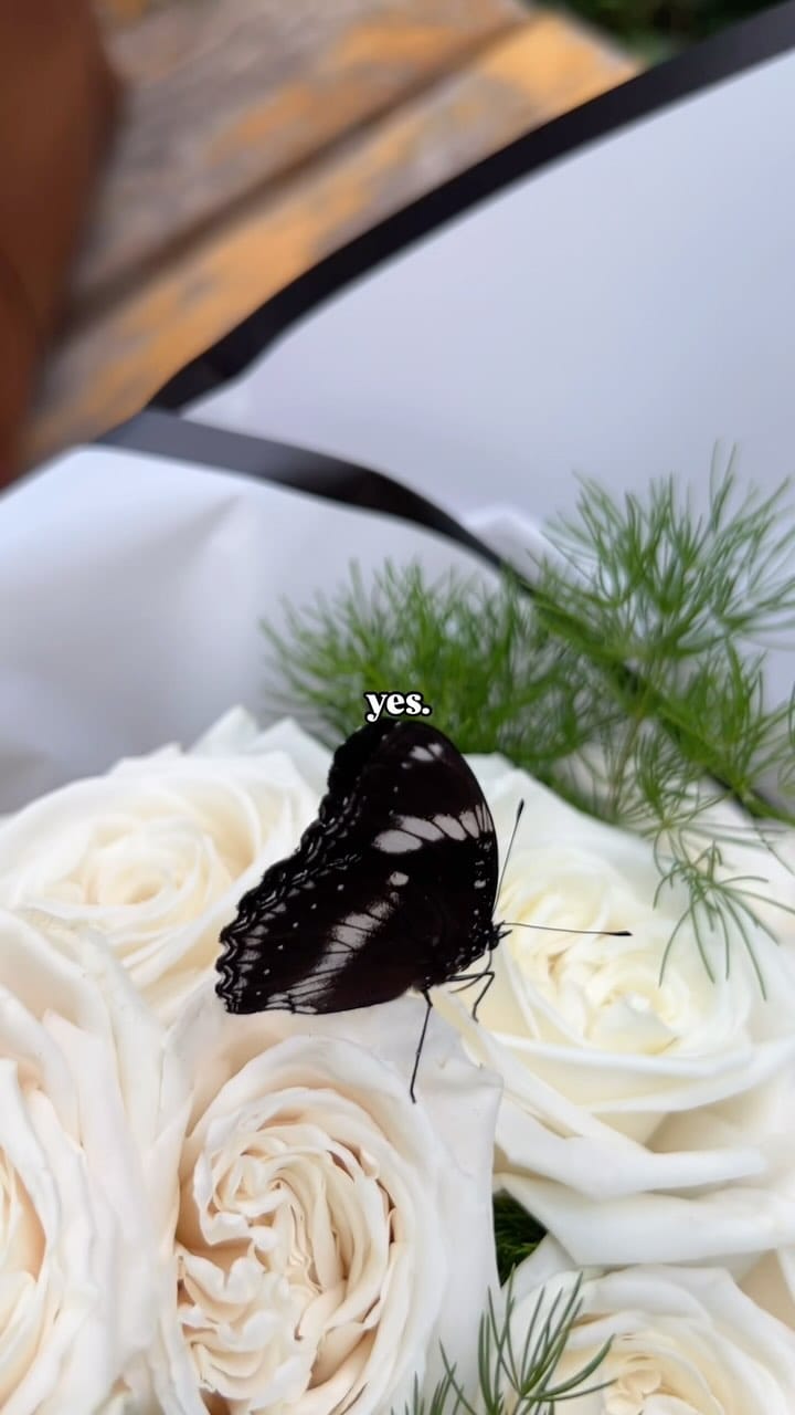 Post 9 by Tife Soloye-Dehinsilu🦋 on Instagram (video)