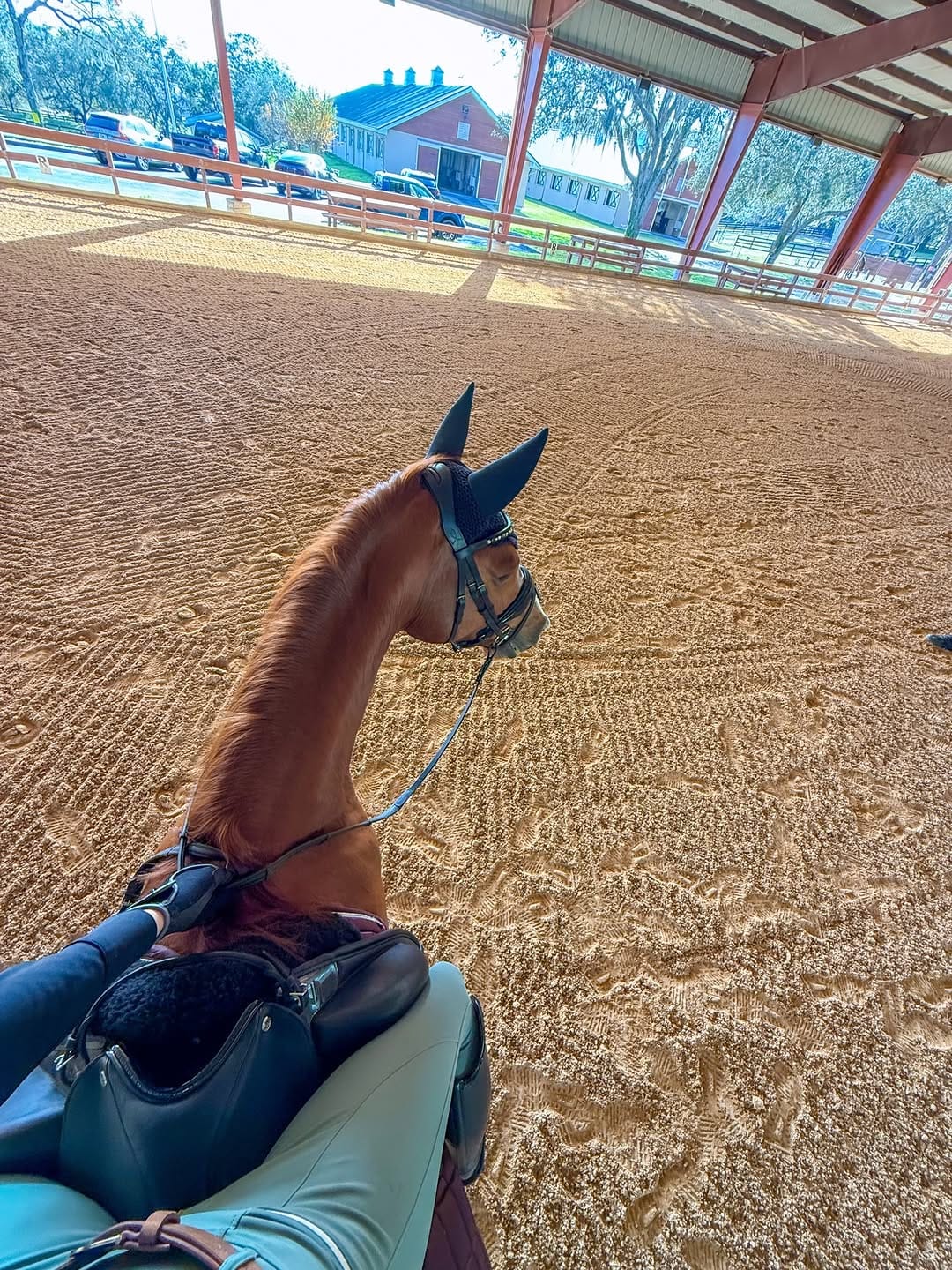 Post 5 by Jenny Cunningham on Instagram (carousel)